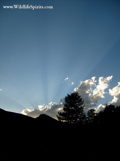 Click Picture to send as an  E-PostCard 65k 412x550